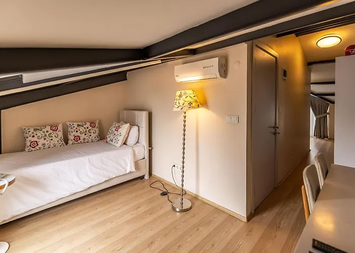 Calanthe Istanbul
