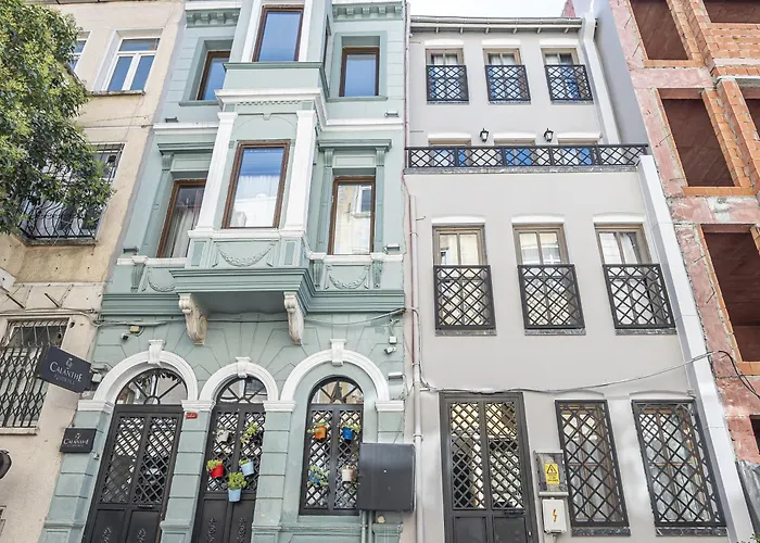 Calanthe Istanbul