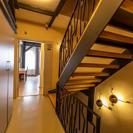 Calanthe Istanbul