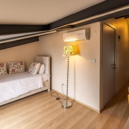 Calanthe Istanbul