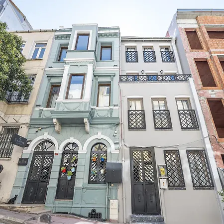 Calanthe Istanbul